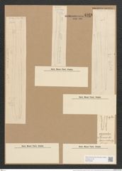 Nitzschia vermicularis (Kuetz.) Hantzsch. (de-Toni-Nr.: Genus 47, Species 2094) Zeichnungen Sammlung Grunow Nr. 4169 (NHMW-BOT-W0372058)